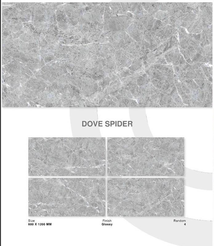 DOVE SPIDER