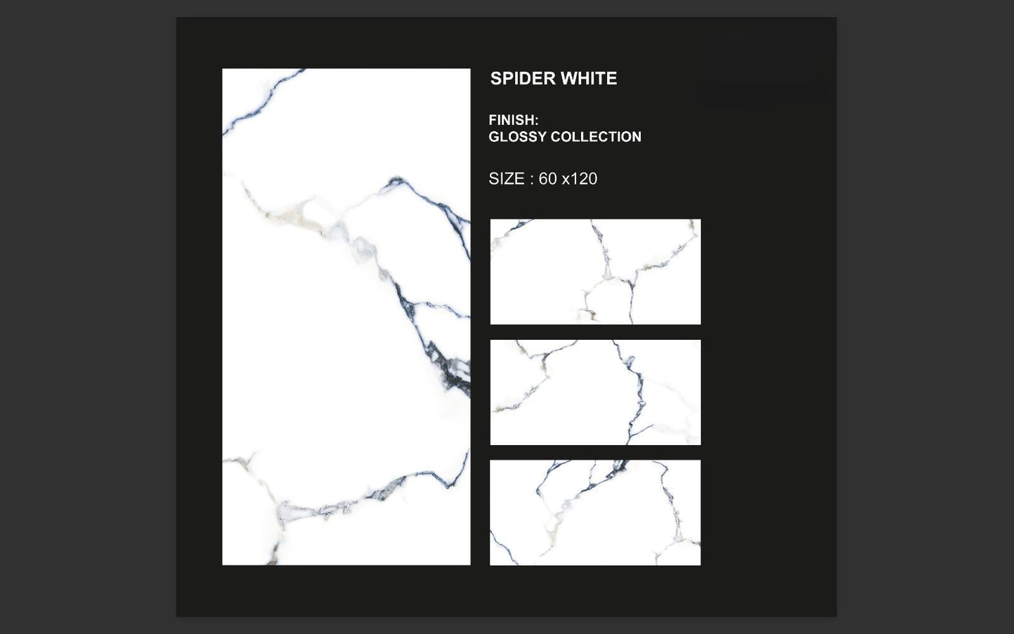 SPIDER WHITE
