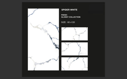 SPIDER WHITE