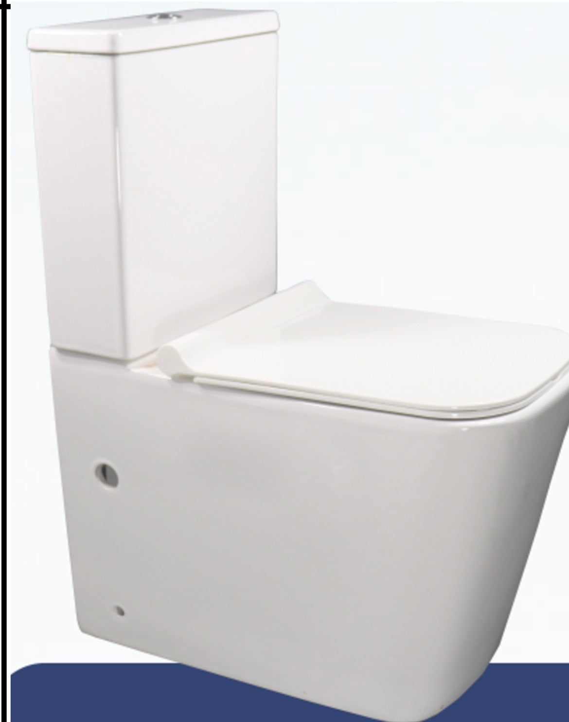 TOILET ISIS