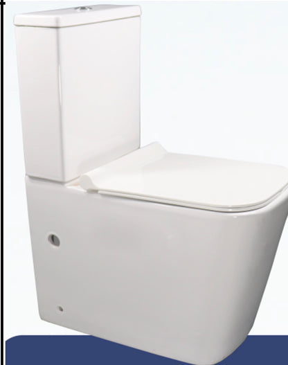 TOILET ISIS