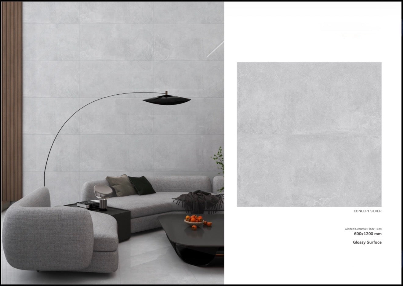 CONCEPT SILVER