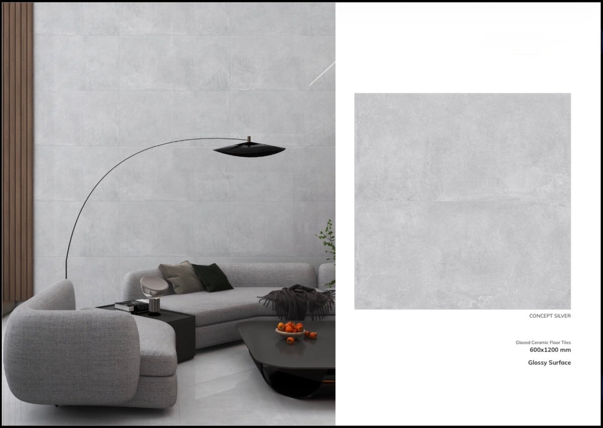 CONCEPT SILVER