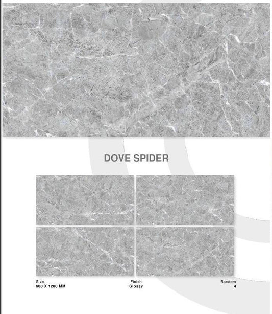 DOVE SPIDER