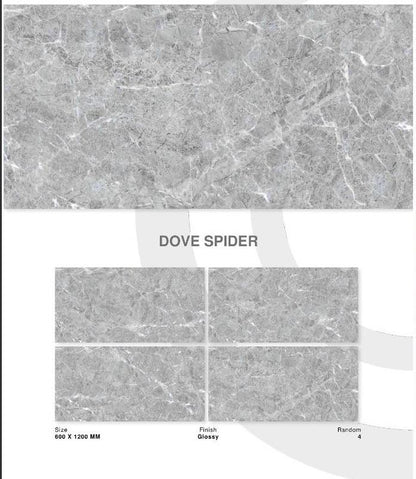 DOVE SPIDER
