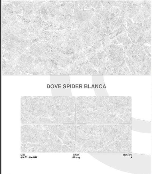 DOVE SPIDER BLANCA